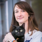 Sarah, assistante vétérinaire - OPHTALMOVET